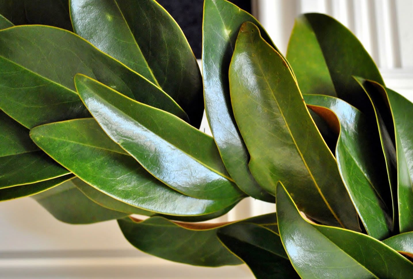 NEST Magazine - holiday decor and winter florals