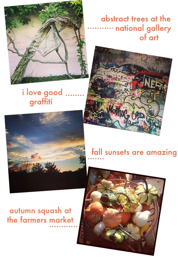 Latest and Greatest According to My Instagram