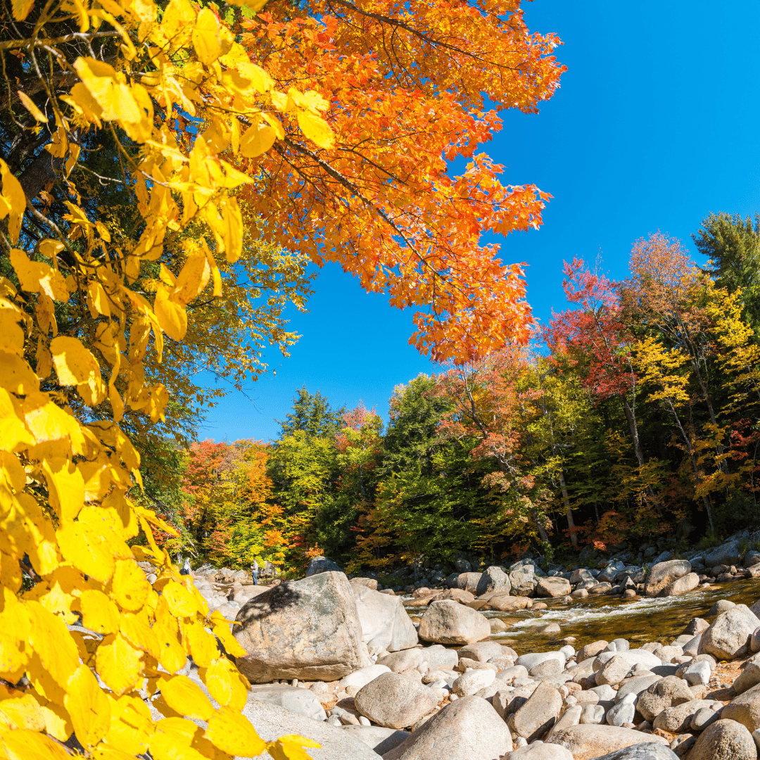 2021 Fall Foliage in Connecticut