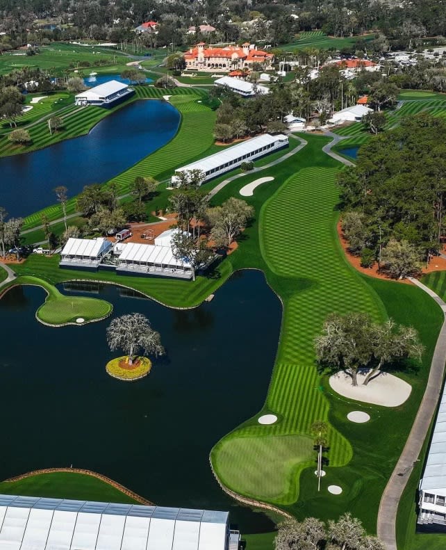 Sawgrass