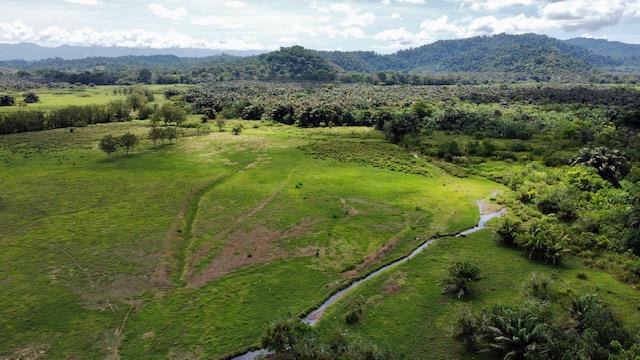 1836 Acre Farm With Streams and Primary Jungle at the Basin of Sierpe