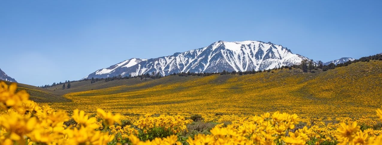 Mammoth Lakes Real Estate Market Update for August 2023
