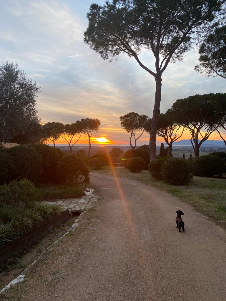 Villa Sofia Tuscany