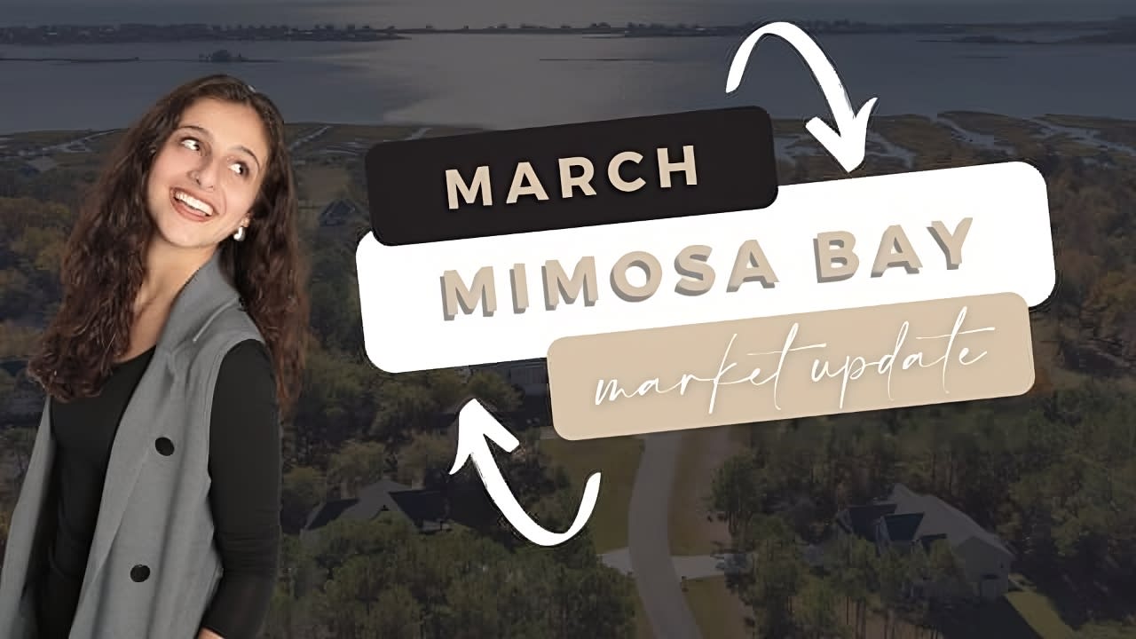 Mimosa Bay March 2024 Market Update