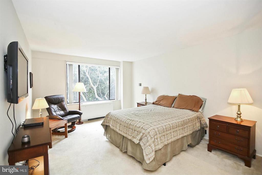 4501 Arlington Blvd, #219