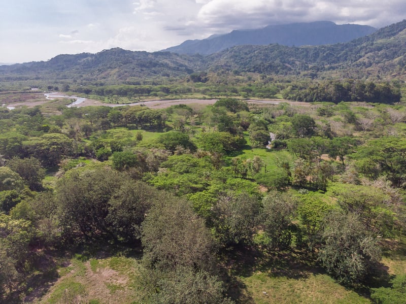 Riverfront Development Acreage, Manuel Antonio, Puntarenas
