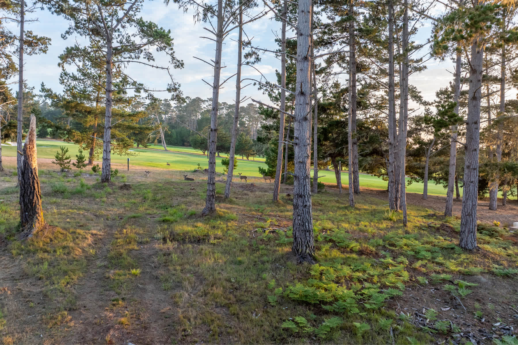 Stunning Golf Course Views - 1182 Dunes Road Lot 7