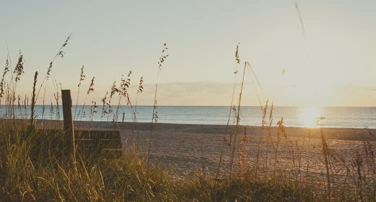 Spring Festivals – Wilmington