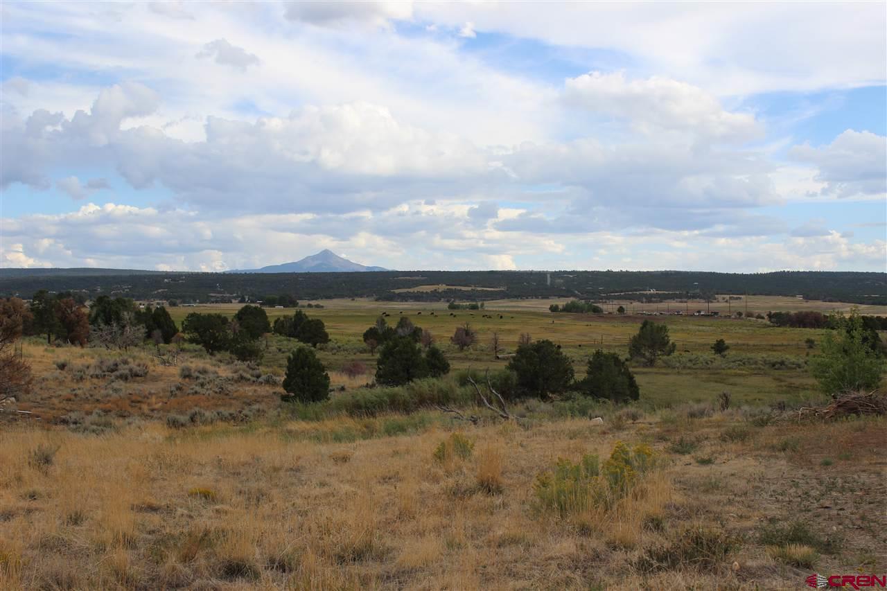 TBD Pioneer Circle #6 Dr