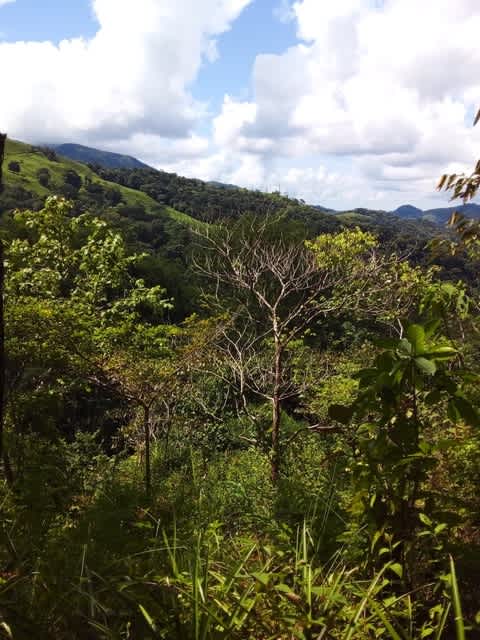 Biophilia Nature Preserve