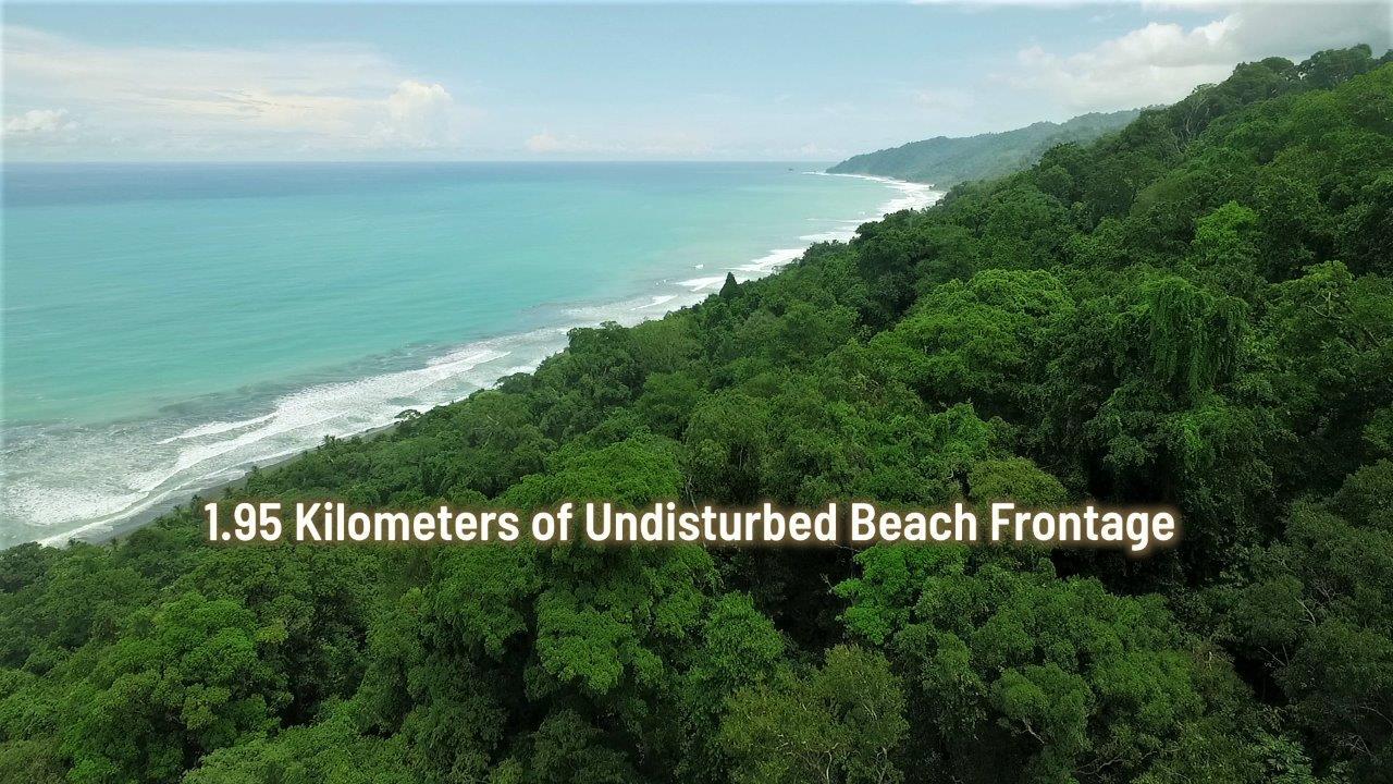 Pacific Frontage Rainforest Estate, Osa, Puntarenas