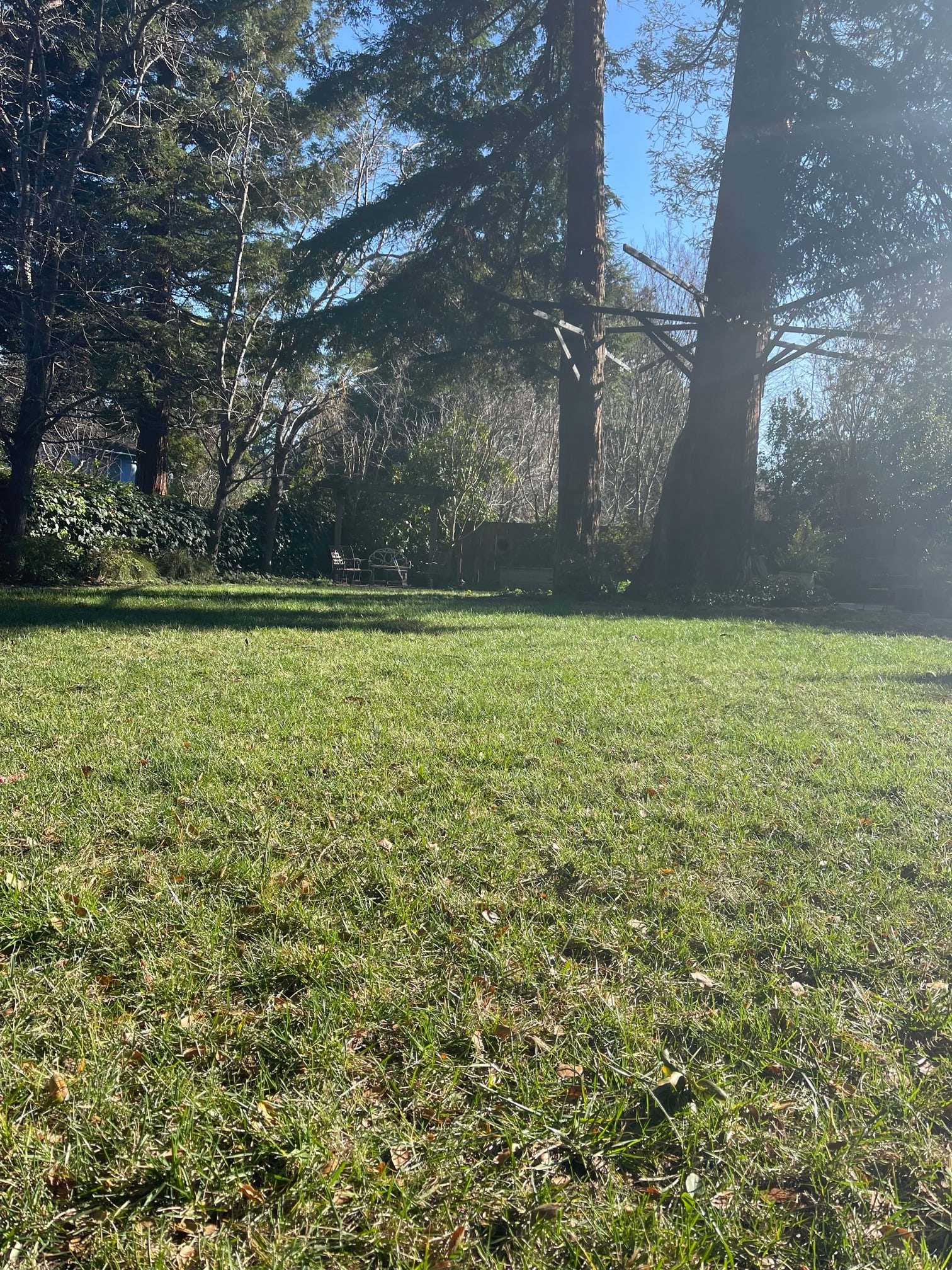 0 Woodland Ave, Menlo Park