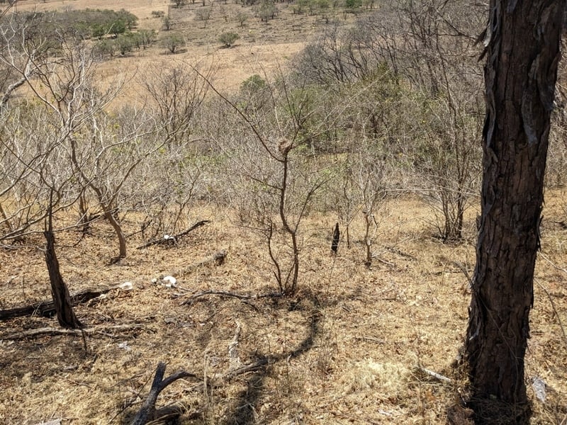 Ocean View Development Land, Tamarindo, Guanacaste