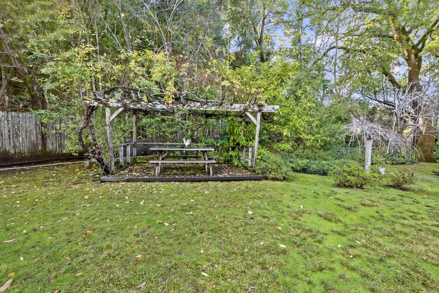 14 Rancheria