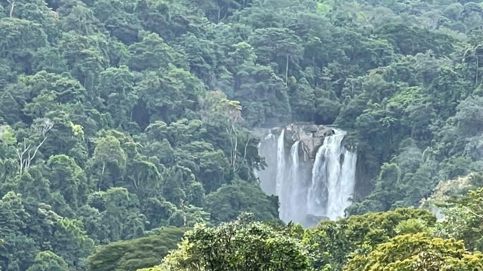 WATERFALL VIEW HOMESITES AND NATURE COMMUNITY PLAYA DOMINICAL
