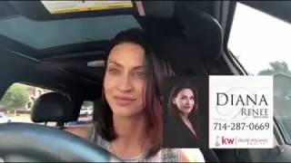 In the Driver seat | Who pays for Termite Repair?