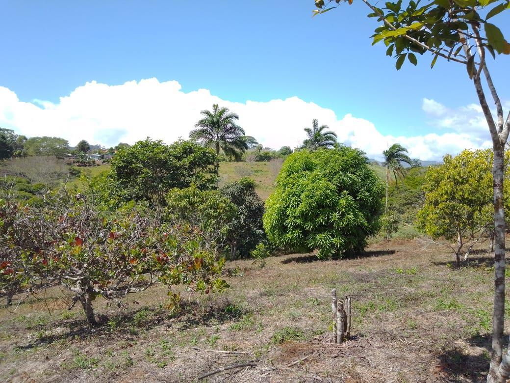 Mountain Fruit Farm Lagoon, Perez Zeledon, San Jose