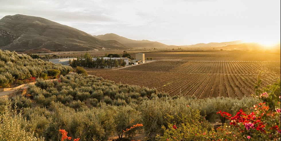 The 8 Best Under-the-Radar Travel Destinations for Wine Lovers