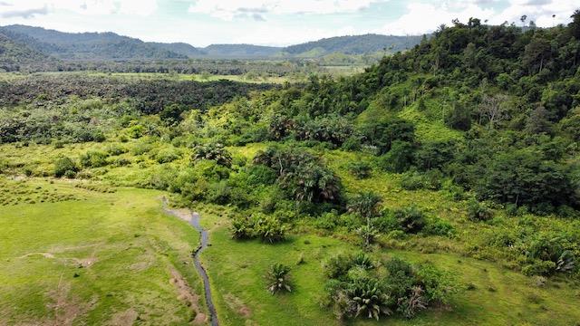 1836 Acre Farm With Streams and Primary Jungle at the Basin of Sierpe