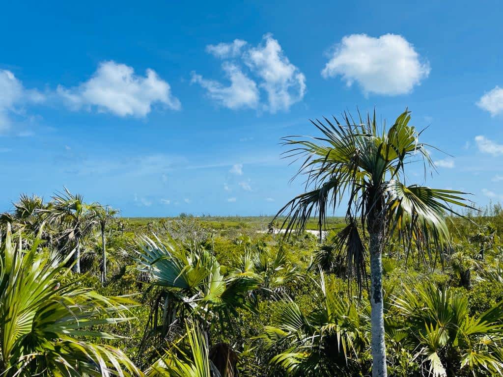 Hawks Nest Cay Cat Island