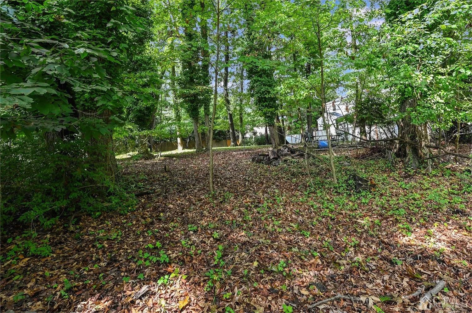 50 Clive Hills Rd