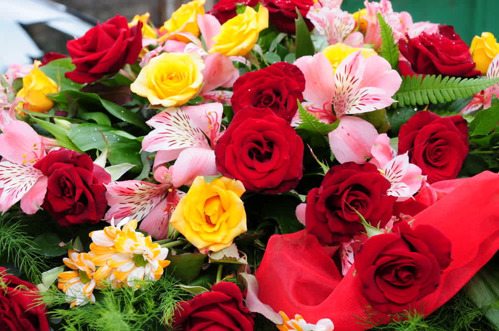 Rancho Santa Fe Garden Club Plows Forward