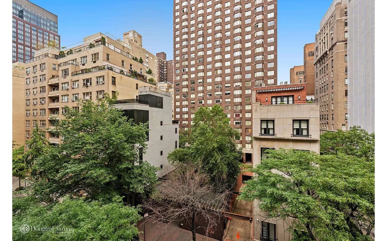 434 East 52nd Street Unit: 6E