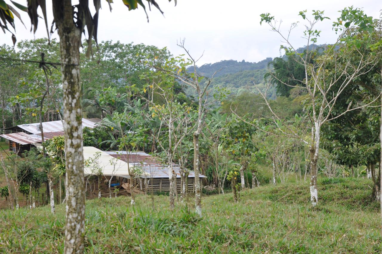 Waterfall View Farm On 80% Usable Land In Uvita