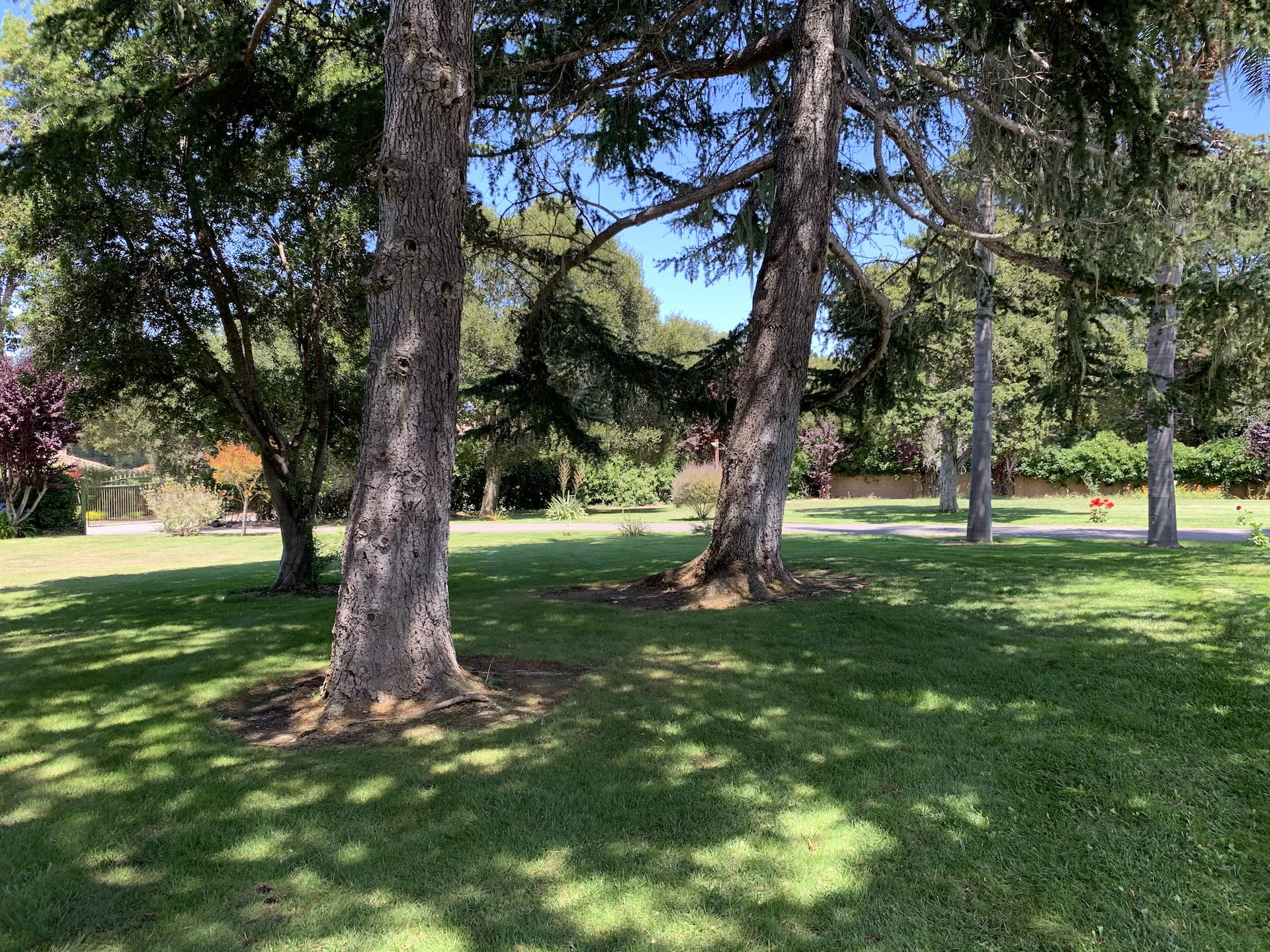 The Monterey Manor