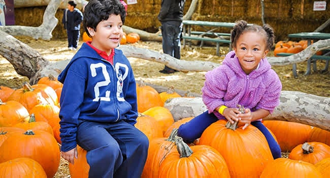 Irvine Park Railroad Pumpkin Patch