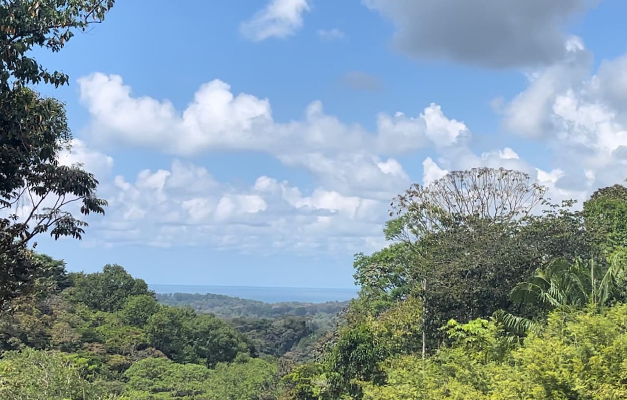 Dulce, Uvita Lot 34 Ocean View and Ready to Build! Gated Community!!