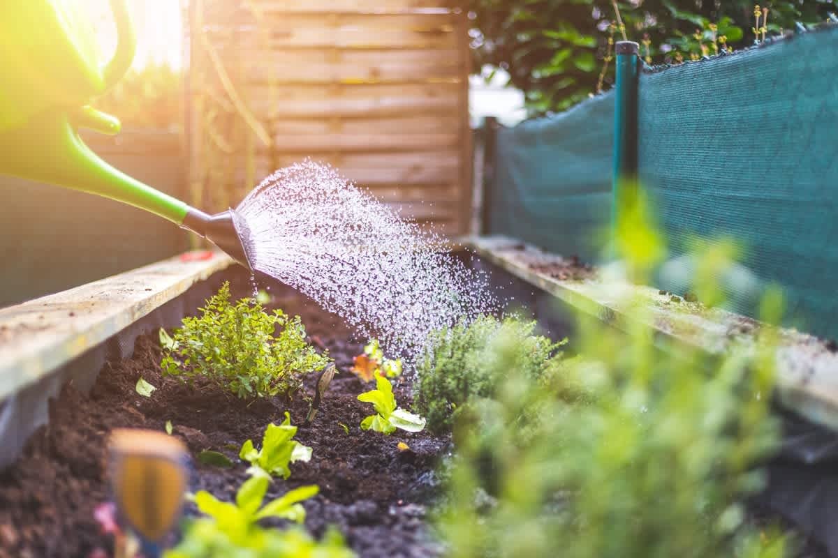 gardening