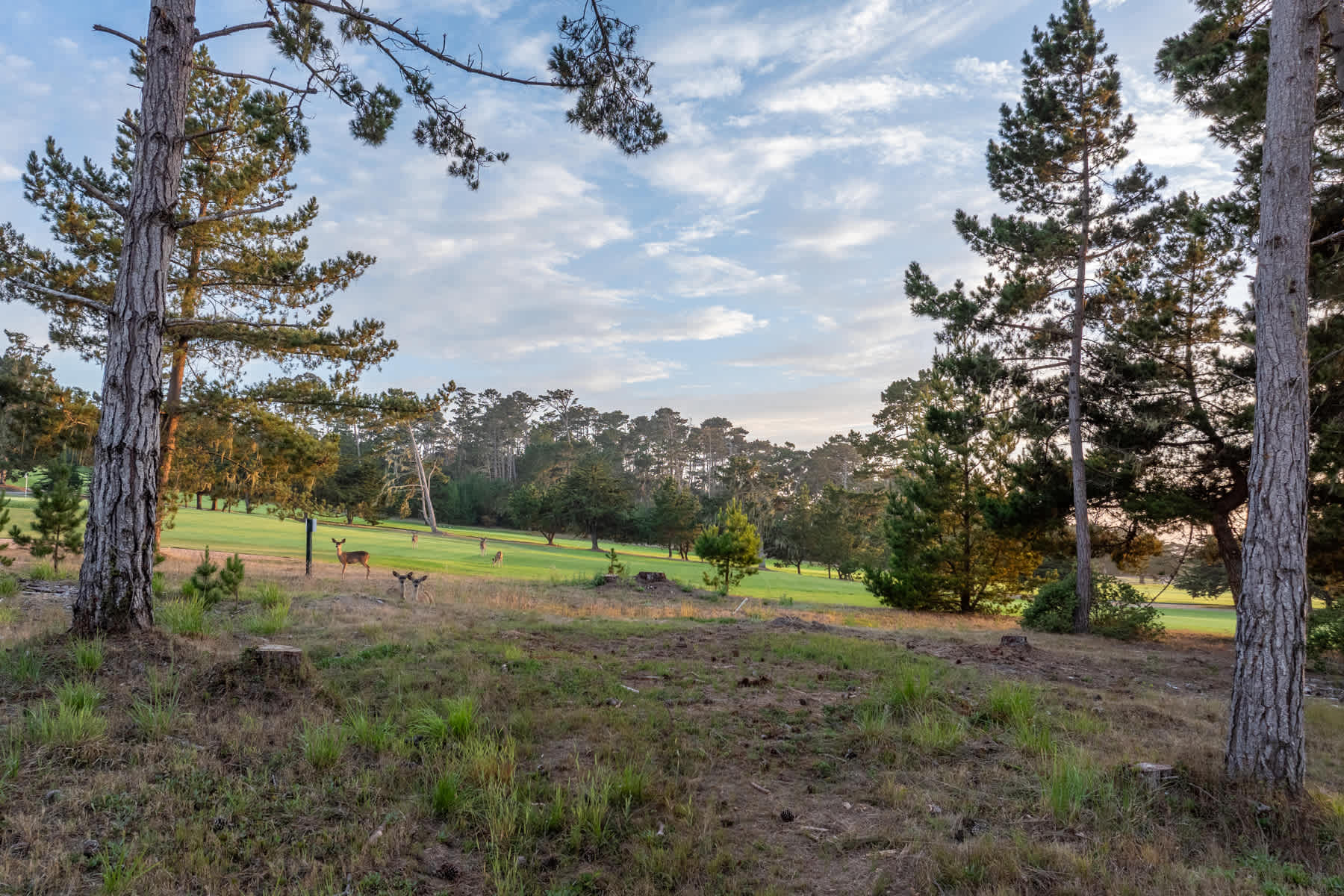 Stunning Golf Course Views - 1182 Dunes Road Lot 7
