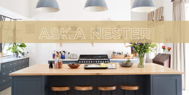 Ask A Nester: Entertaining Preferences