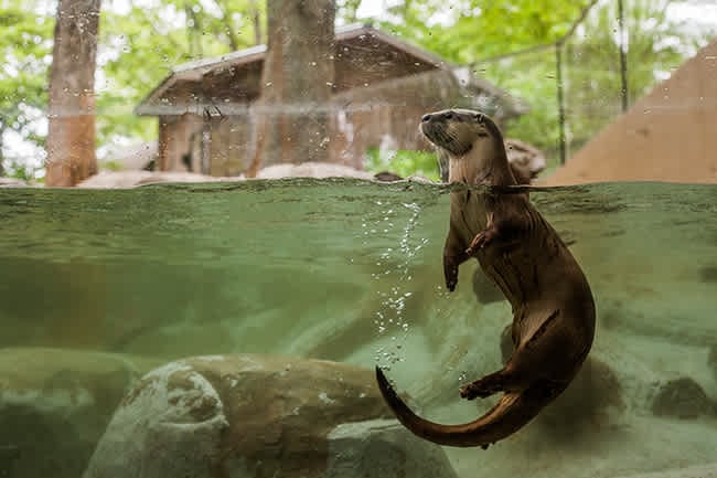 Bee’s Knees: Asheville Stuff We Dig!