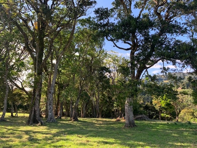 Vast Mountain Farm Acreage, Heredia