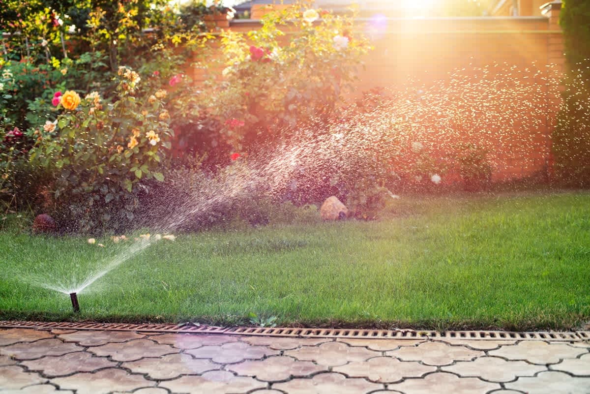 Ask A Nester: Planting Green Ideas