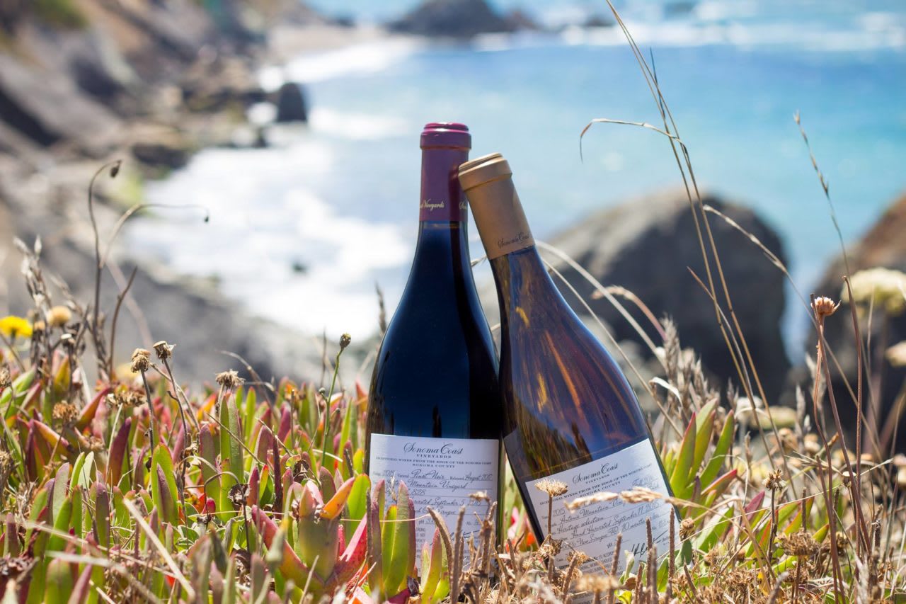 A Day Trip to Bodega Bay: Best Restaurants, Beaches and Chowder