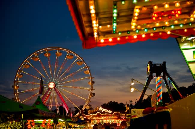 Bee’s Knees: Stuff We Dig!