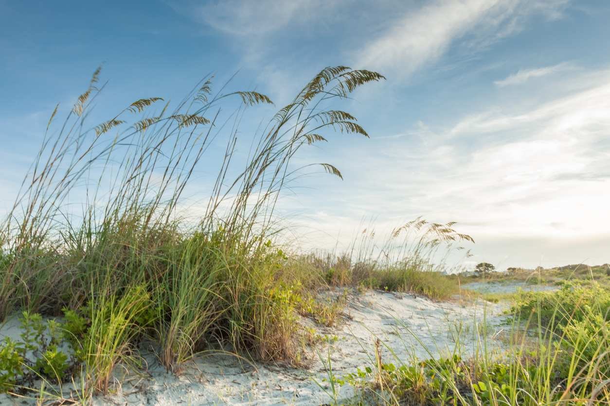 Our Favorite Beach Towns Along the Carolina Coast