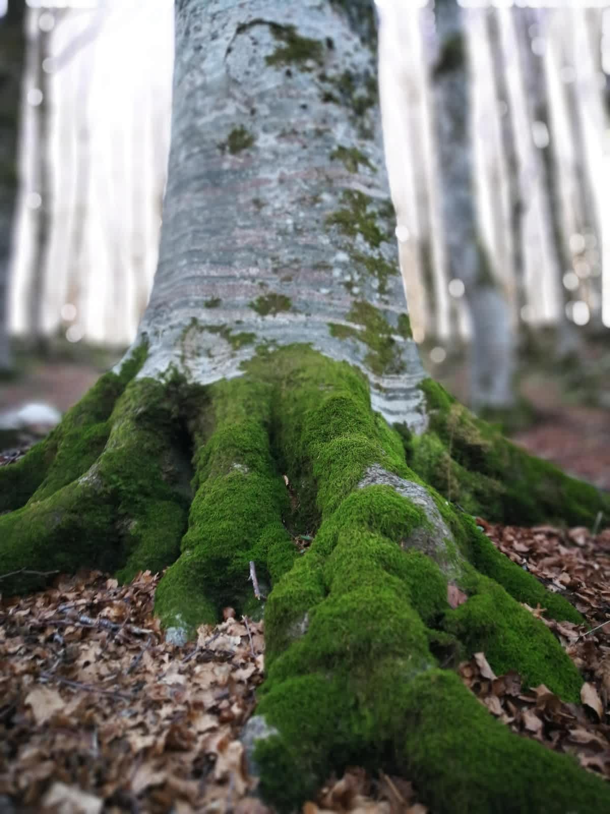 April Showers: Leak Prevention Tips