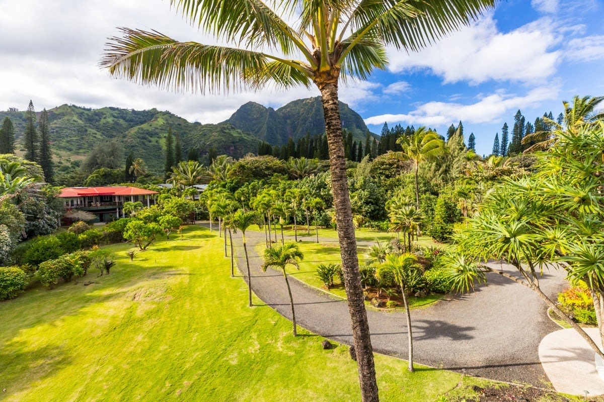 New Listing: 5-7534 Kuhio Highway, Hanalei