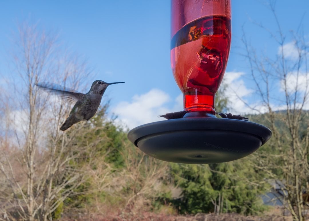 38632 Cherry Dr
