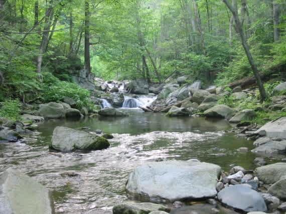 Fishing Around Charlottesville and Albemarle County