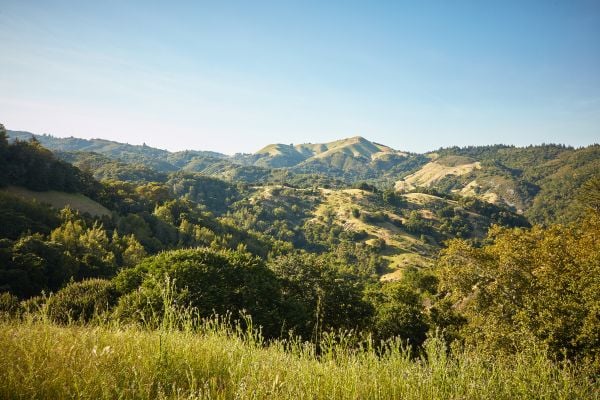 Bay Area $5M+ Market by County