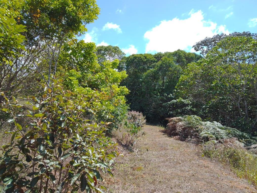 Mountain Fruit Farm Lagoon, Perez Zeledon, San Jose