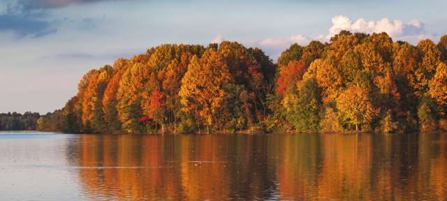 Embracing Fall's Real Estate Harvest: Your Guide to Navigating the Autumn Market