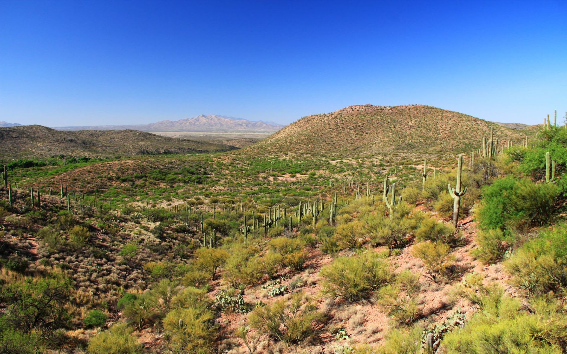 Vail, Arizona — Colossal Cave Mountain Park entrance in the Rincon Valley