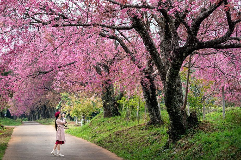 Picture Perfect: Exploring the Best Photo Spots in Toronto