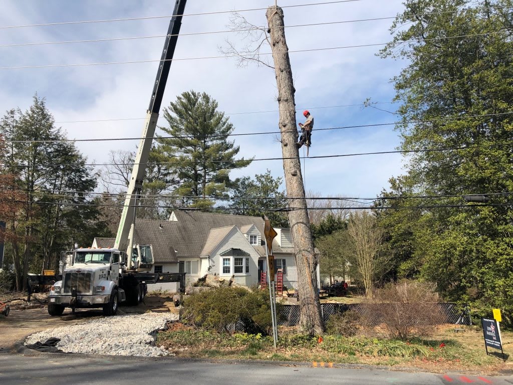 Progress at 5801 Aberdeen